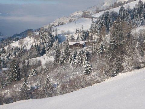 Bauernhof Bachrain Villa Taxenbach Luaran gambar