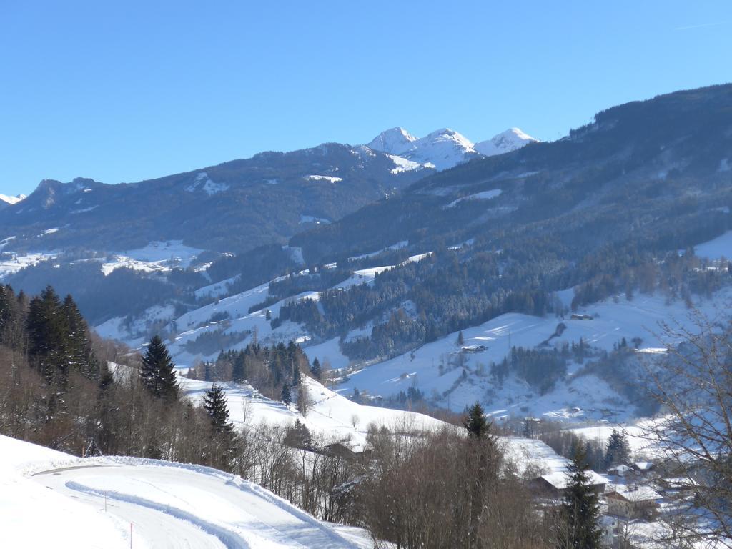 Bauernhof Bachrain Villa Taxenbach Luaran gambar